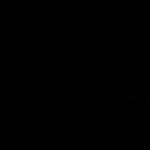 Meet your Posher, Max